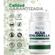 thumbnail image 3 of Alga Chlorella Orgánica 500mg - 100 Cápsula - Pullulan Orgánica - Ingredientes Naturales, 3 of 7