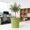 Green, variant on Thickened Round Plastic Plant Pot Breathable Root Pruning Design Anti Root Rot Planter with Tray,Green