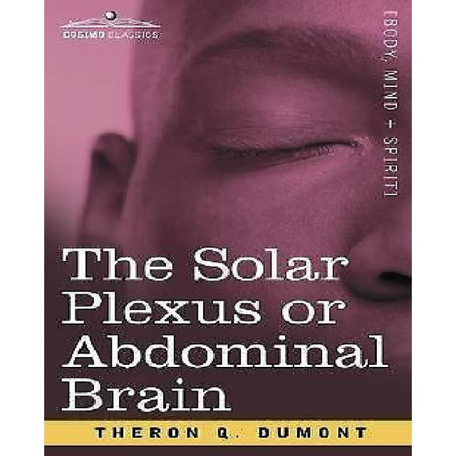Le Plexus Solaire Ou Cerveau Abdominal