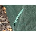 thumbnail image 6 of Green Polyethylene Shrub Cover 40 In. X 40 In. X 44 In., 6 of 9