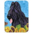thumbnail image 1 of Carolines Treasures SS4123LCB Briard Glass Cutting Board - Large, 1 of 1