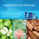 thumbnail image 5 of Cologne Pheromone Perfume Oil Long-lasting Perfume Suitable For Valentine's Day, Party, Music Festival，Dating 50ml/10ml, 5 of 9