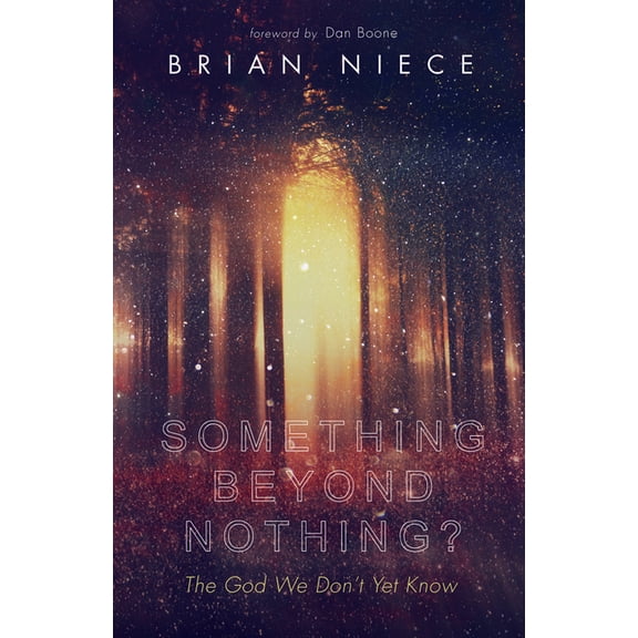Something Beyond Nothing?: The God We Don't Yet Know, (Hardcover)