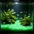 thumbnail image 5 of 100 Pack Glow In The Dark Aquarium Stones, Luminous Pebbles Fish Tank Gravel Decoration Colorful Underwater Rock Decor For Vase Garden Aquascaping Night Landscape Accessories, 5 of 6