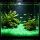 thumbnail image 5 of Guijarros luminosos para acuario que brillan en la oscuridad: piedras luminiscentes para paisajismo acuático, decoración de peceras, relleno de jarrones y jardinería. Grava luminosa de plást, 5 of 6