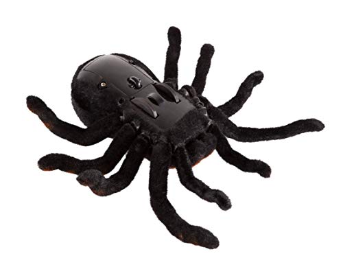 remote control spider toy