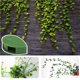 thumbnail image 5 of Soporte para plantas trepadoras Naiovety 10 piezas autoadhesivo verde, 5 of 6