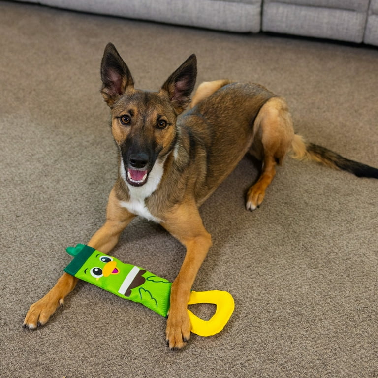 Outward Hound Fire Biterz Ultra Durable Firehose Material