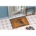 thumbnail image 4 of Carolines Treasures SS4879MAT Field Spaniel Wipe your Paws Doormat 18x27 27"L x 18"W multicolor, 4 of 4
