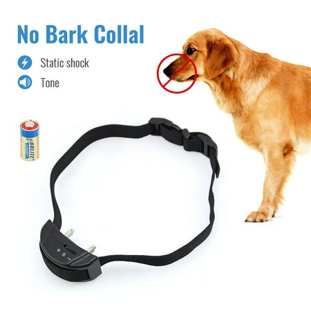 Petrainer PET852 Dog Bark Collar Electric Shock Collar No Bark Collar Warning Beeper Bark Control (Best No Slip Dog Collar)