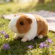 thumbnail image 5 of Juguetes de piscina, juguetes para bebés, juguetes para niños pequeños, hámster realista de peluche, lindo conejillo de indias realista, muñeco súper suave, regalo para niños, niñas, niños, cumpleaños, 5 of 7