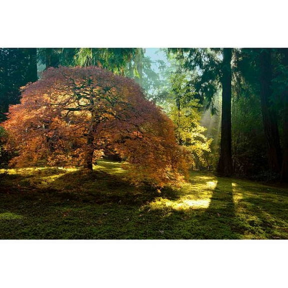 Marmont Hill "In the Gentle Autumn Light" Painting Print on Canvas