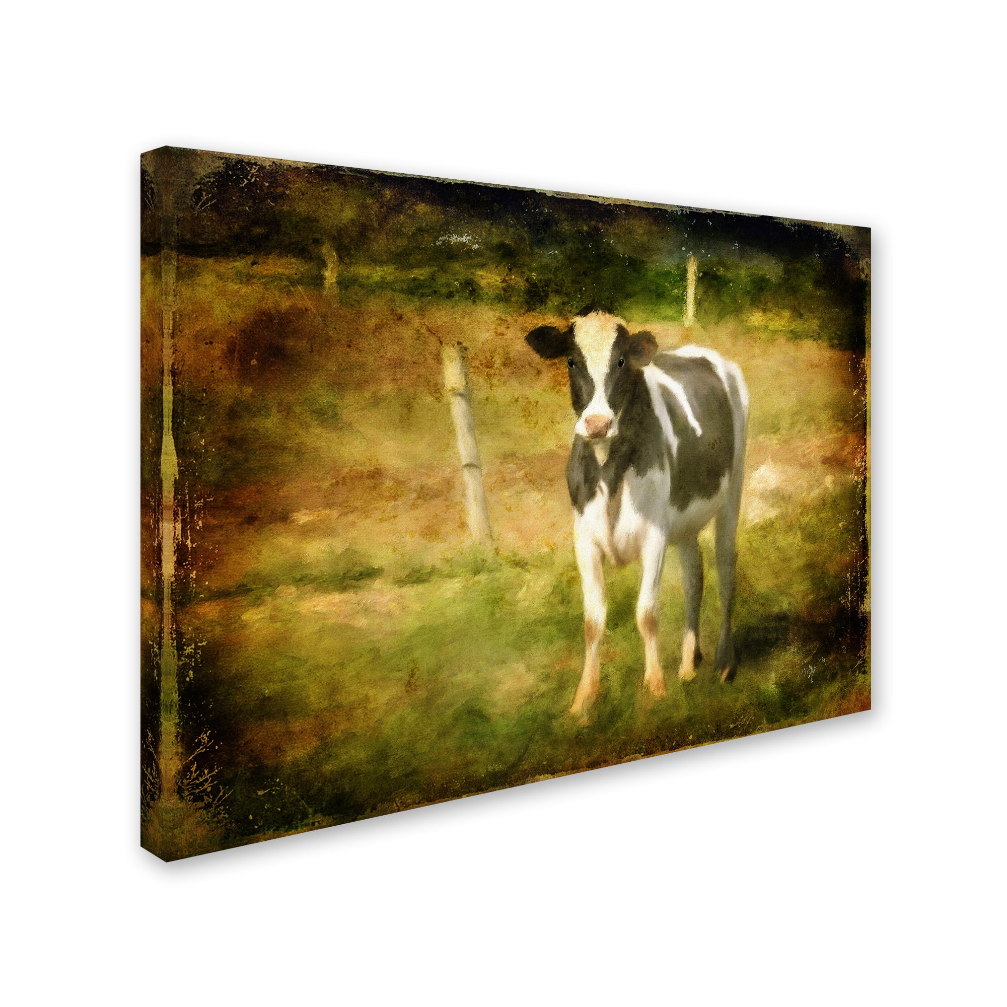 Trademark Fine Art "Handsome Holstein" Canvas Art by Lois Bryan