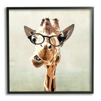 Stupell Industries Funny Chewing Giraffe Glasses Animals & Insects Painting Black Framed Art Print Wall Art