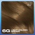 thumbnail image 2 of Clairol Nice'n Easy Permanent Hair Color Cream, 6G Light Golden Brown, Hair Dye, 1 Application, 2 of 10