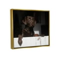 thumbnail image 5 of Stupell Industries Labrador Dog Overlooking Farm Leaning Barn Door Photograph Metallic Gold Floating Framed Canvas Print Wall Art, Design by James Dobson, 5 of 5