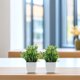 thumbnail image 1 of WEUVEB 2Ud Plantas Decorativas Artificiales Para Interiores Con Maceta Resistente Y Realismo Natural, 1 of 8