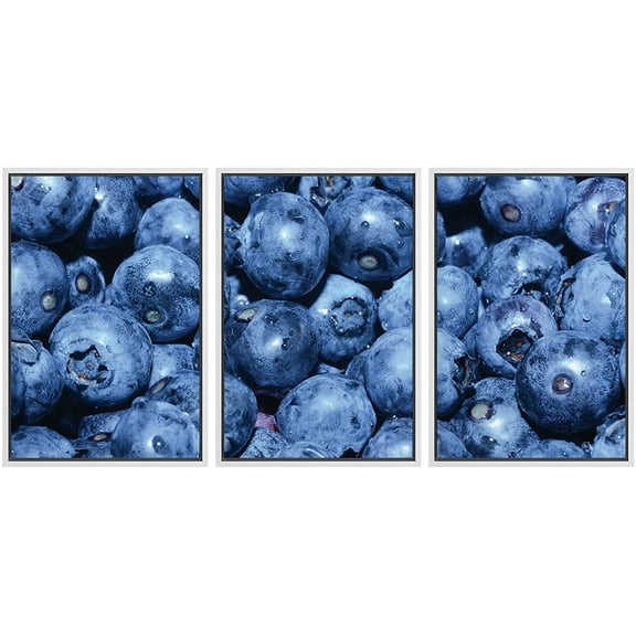 wall26 Framed Canvas Print Wall Art Aerial Close Up Blueberry Collage Food Culinary Photography Realism Decorative Natural Colorful Vibrant Diet for Living Room, Bedroom, Office - 16"x24"x3