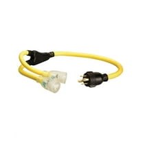 Coleman Cable 10/4 STOW 250 volt 3 ft. L Generator Cord