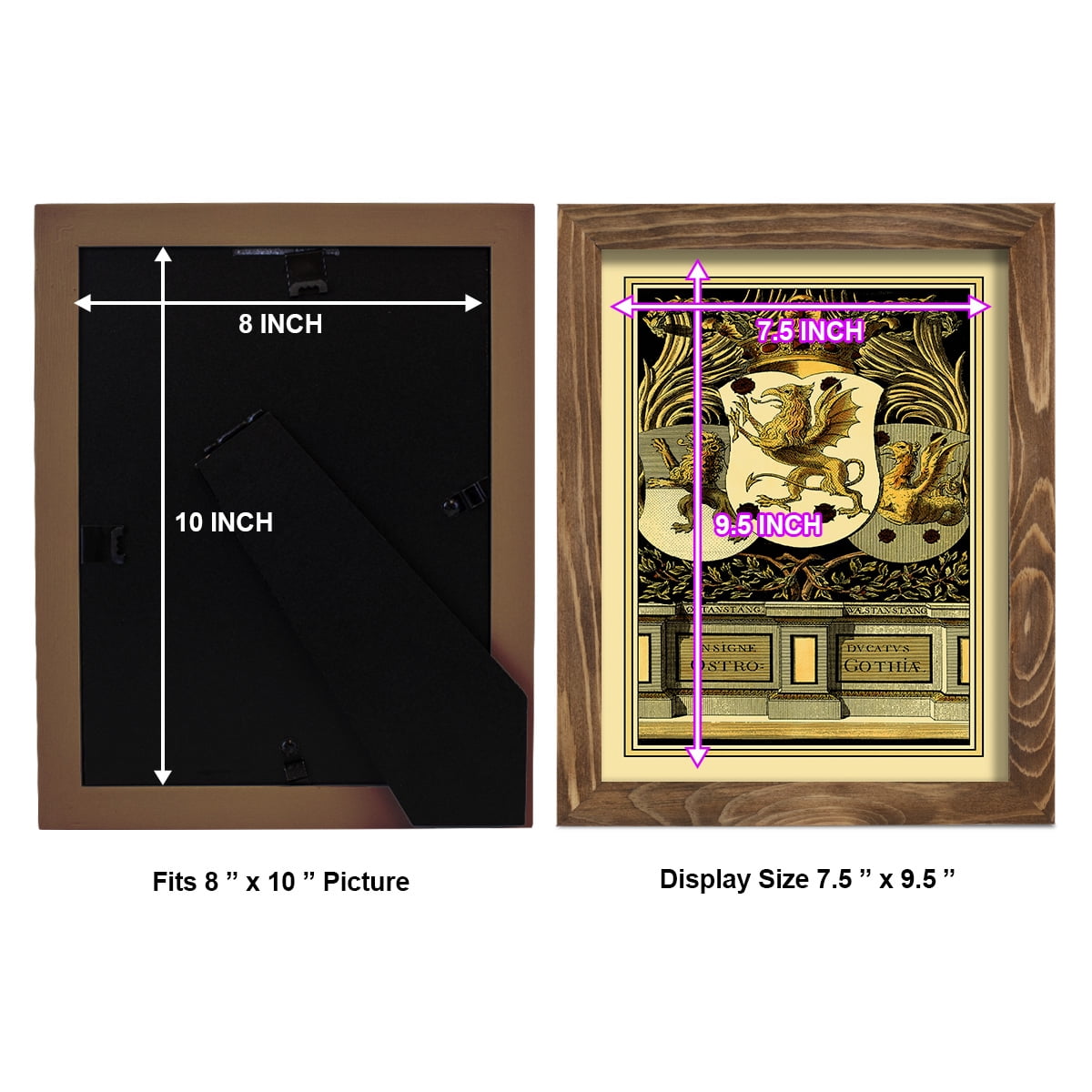Family Crest II -Framed Print w/glass-Walnut