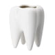 thumbnail image 1 of Maceta En Forma De Muela Regalo Dentistas Odontólogo Decoración, 1 of 4