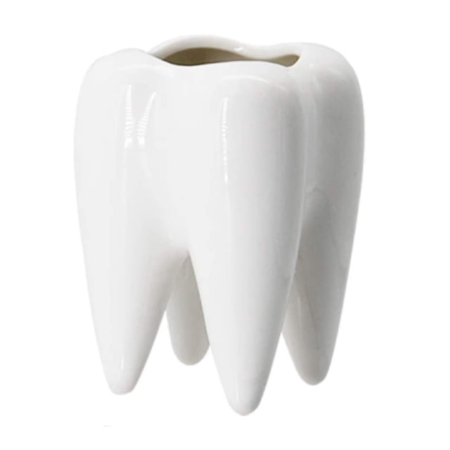 Maceta En Forma De Muela Regalo Dentistas Odontólogo Decoración