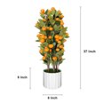thumbnail image 2 of 36" Artificial Plant Real Touch Orange, 2 of 5
