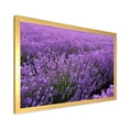 thumbnail image 2 of Designart 'Blooming Purple Lavender Meadow' Farmhouse Framed Art Print, 2 of 4
