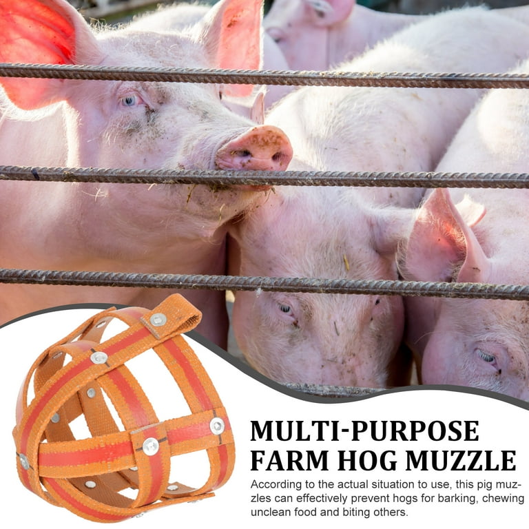 Pet pig accessories hot sale