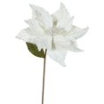 thumbnail image 1 of Cream Poinsettia Flower, 22 & 12 in., 1 of 1
