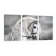 thumbnail image 1 of Cuadro Decorativo Tríptico Vertical Abstracto Moderno Caballo Blanco Humo Canvas Revolution  Set De 3 Cuadros 40x60 cm, 1 of 5