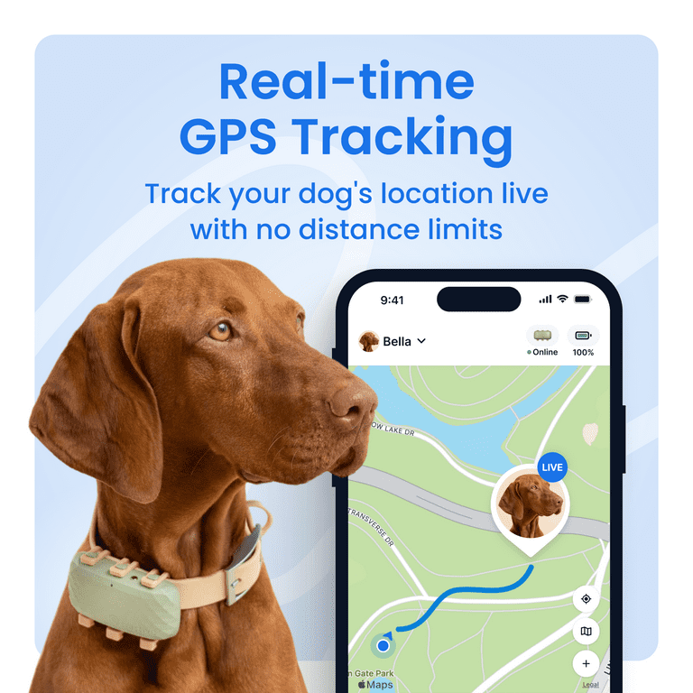 Tractive XL Smart Dog GPS Tracker with Vital Signs