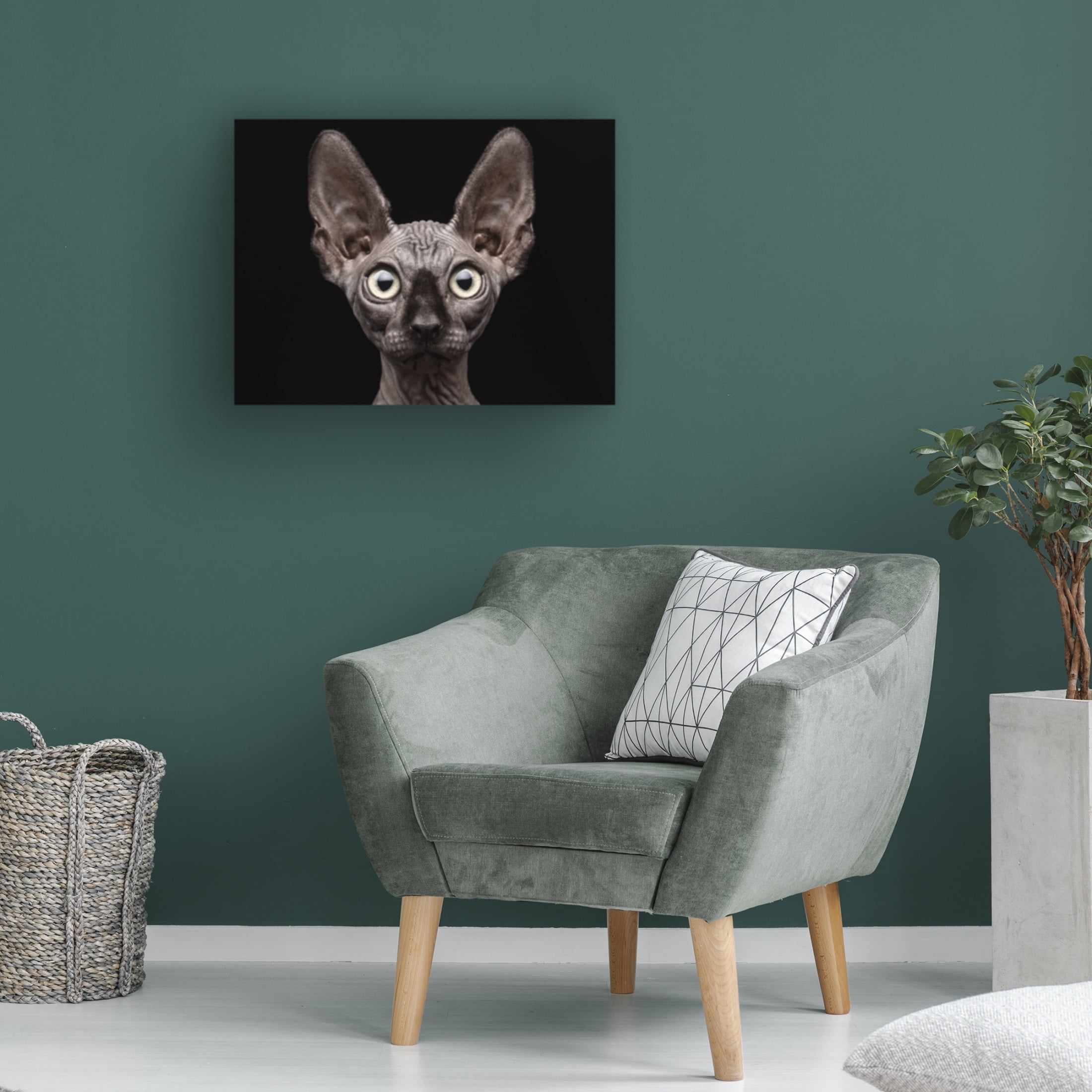 Patrick Matte 'Sphynx Cat' Canvas Art - 24 x 18 Inches
