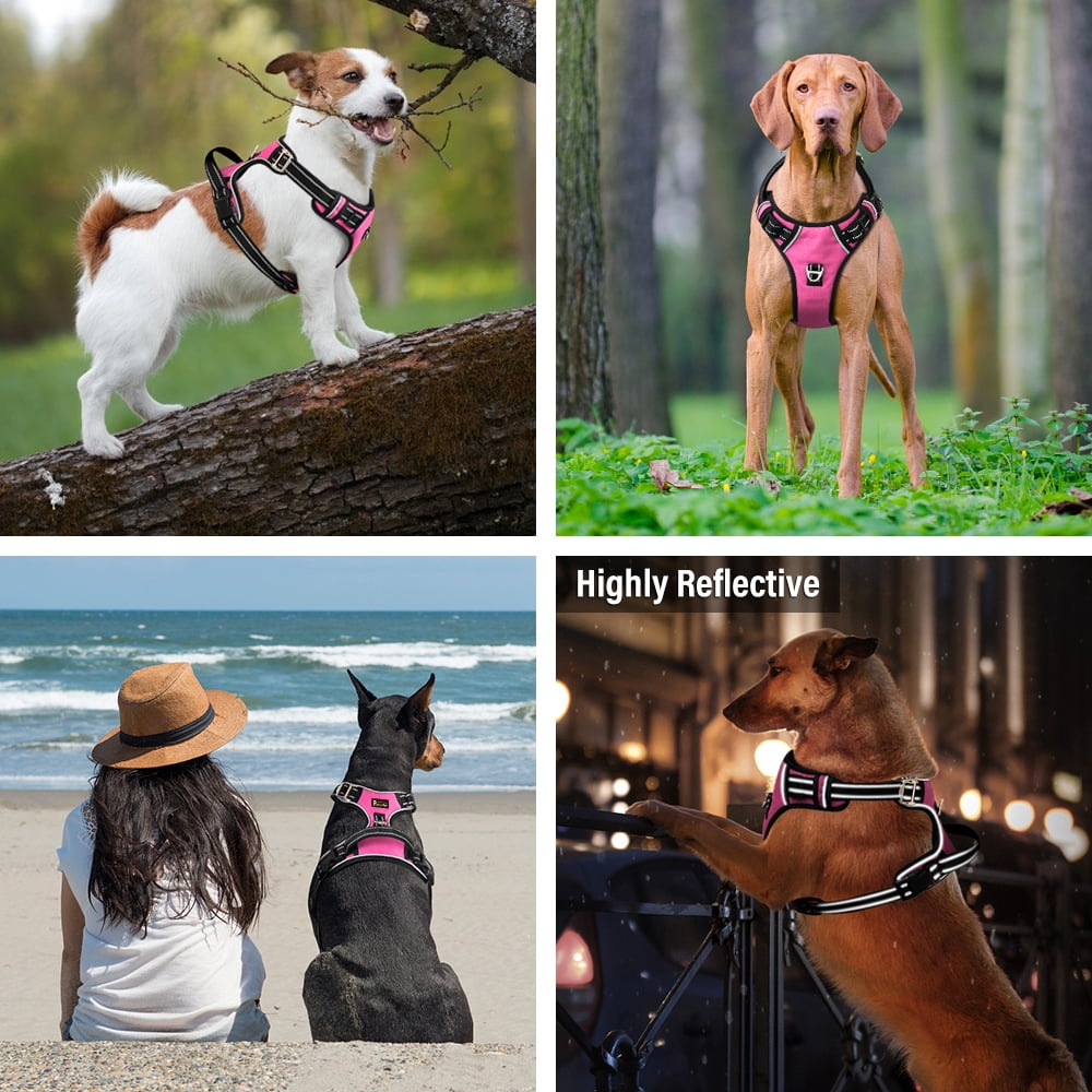 Plutus Pet No Pull Dog Harness, Release at Neck, Adjustable Reflective Dog Vest Harness, Soft Padded with Easy Control Handle, for Small Medium Large Dogs