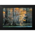 thumbnail image 2 of Head, Danny 18x13 Black Modern Framed Museum Art Print Titled - Soft Light II, 2 of 5