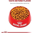 thumbnail image 2 of Royal Canin Breed Health Nutrition Rottweiler Puppy Dry Dog Food 30 lbs., 2 of 2