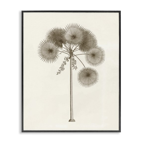 Stupell Industries Vintage Study of Palm Tree Floral Painting Black Framed Art Print Wall Art, 11 x 14