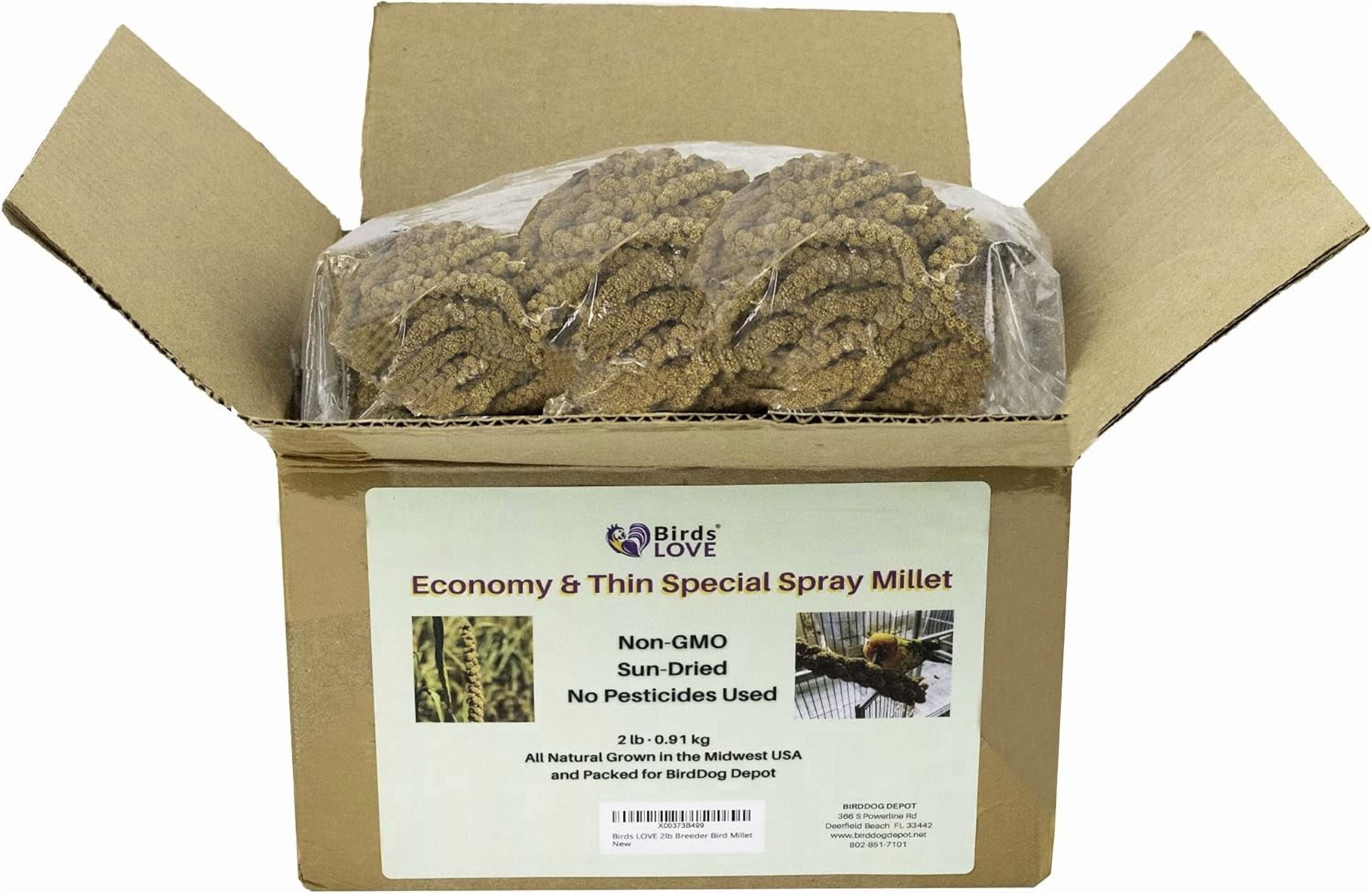 Birds LOVE Economy & Special Spray Millet for Birds, No Stems Non-GMO Sun-Dried Edible Millet Tops for Cockatiels, Lovebirds, Parakeets, Finches & Canaries, 2 lb