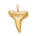 thumbnail image 4 of 14K Yellow Gold Solid Textured Polished Finish Shark Tooth Charm Pendant, 4 of 4