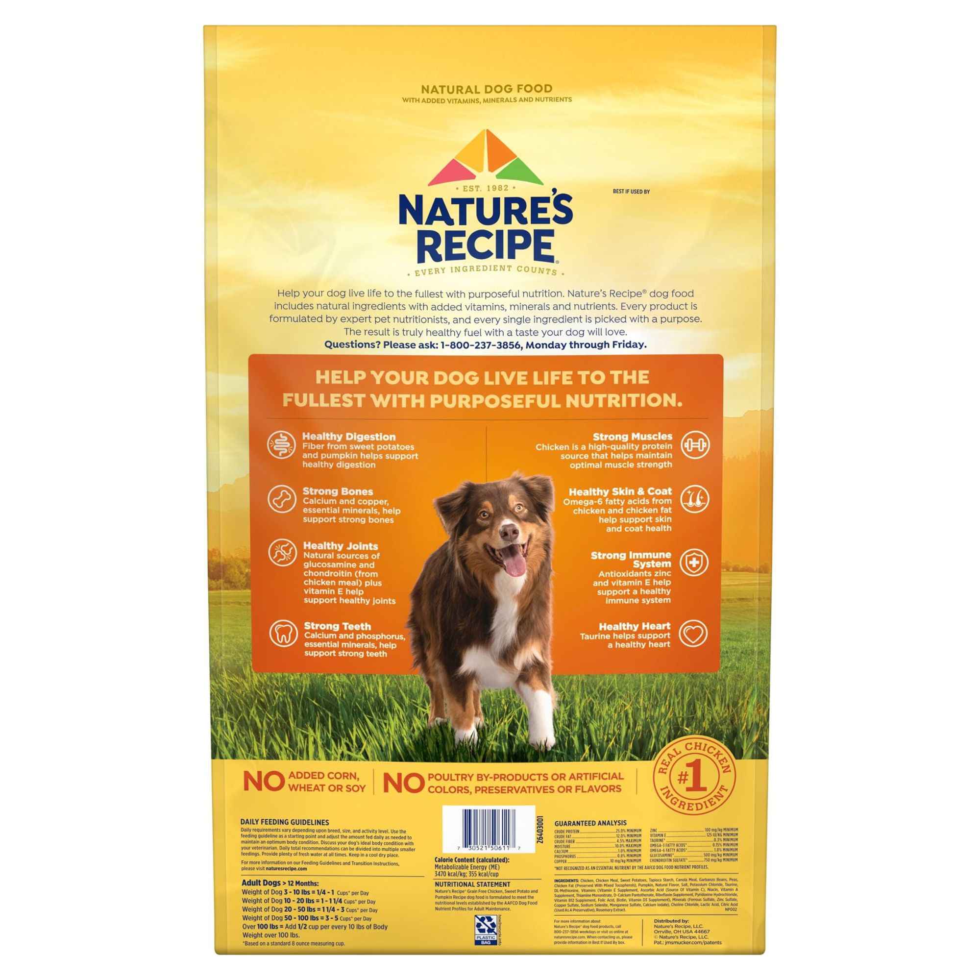 Nature’s Recipe Grain Free Chicken, Sweet Potato & Pumpkin Recipe, Dry Dog Food, 24 lb. Bag - image 11 of 11