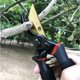 thumbnail image 5 of Tijeras de podar de jardín de hoja recta de acero y titanio Tijeras para flores Corte bypass Madera seca Mangos ergonómicos, 5 of 5