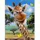 thumbnail image 1 of (30x40cm)diamond Painting Kits For Adults,round Diamond Painting Giraffe Crystal Rhinestone Art Diamond Painting Diamond Animals For Home Wall Decor, 1 of 5