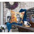thumbnail image 4 of Carolines Treasures DAC7106PW1818 18 x 18 in. American Shorthair Cat in Fall Leaves Throw Pillow, 4 of 6