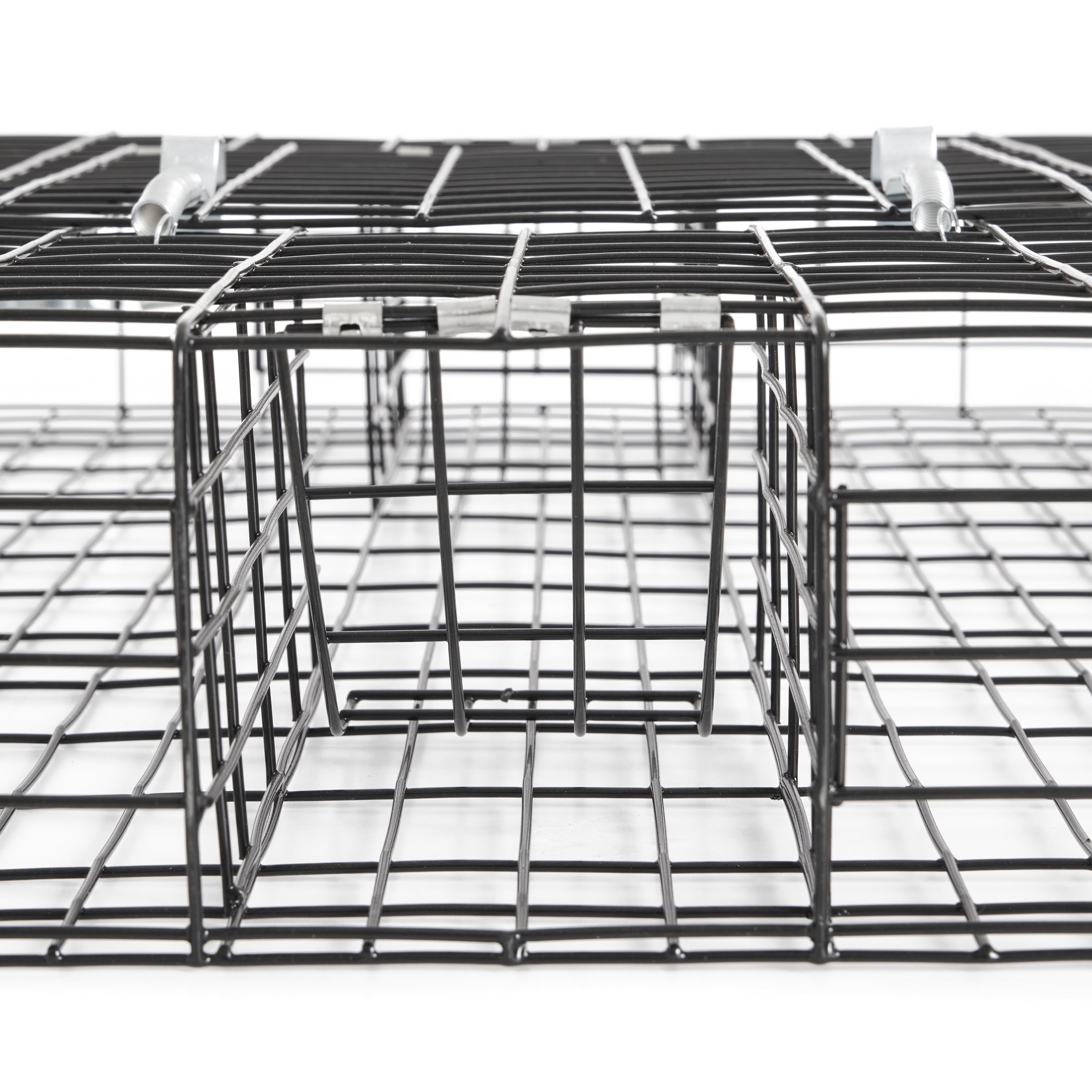 Rugged Ranch Sqrto Squirrelinator Live Chipmunk Squirrel Metal Wire 2 Door  Trap Cage (trap Only), Black (2 Pack) : Target