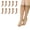 Suntan (NEW), variant on Everyday Women's Classic Knee High Stockings Sheer Toe 20 Pack