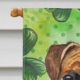 thumbnail image 3 of Carolines Treasures BB9814CHF German Boxer St Patricks Flag Canvas House Size  Large multicolor, 3 of 4