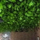 thumbnail image 3 of Inteprter La seda transforma el espacio con plantas artificiales Plantas artificiales Aplicación amplia respetuosa con el medio ambiente Decoración del hogar, 3 of 6