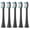 5 black ones, variant on Replacement Toothbrush Heads for AquaSonic Black Series/Black Series Pro/Vibe Series ORCA AQUASONA Toothbrush Bristle Nozzle