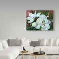 thumbnail image 3 of Trademark Fine Art 'Magnolias' Canvas Art by Joanne Porter, 3 of 3