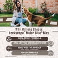 thumbnail image 6 of PetraMax Lockscape Mulch Glue for Landscaping, 1 Gallon (Made in USA) - Ready to Spray Pea Gravel Binder & Landscape Adhesive for Pine Straw & Wood Chips - Pet-Safe Mulch & Rock Glue for Landscaping, 6 of 8